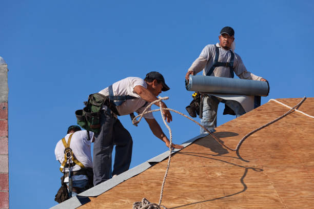 Best Storm Damage Roof Repair  in Branford Center, CT